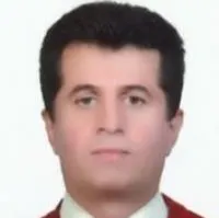 دکتر حمید مراد زاده