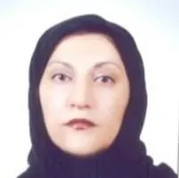 اکرم حامد سیدحسینی