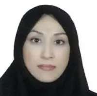 میترا شیخ ابراهیمی