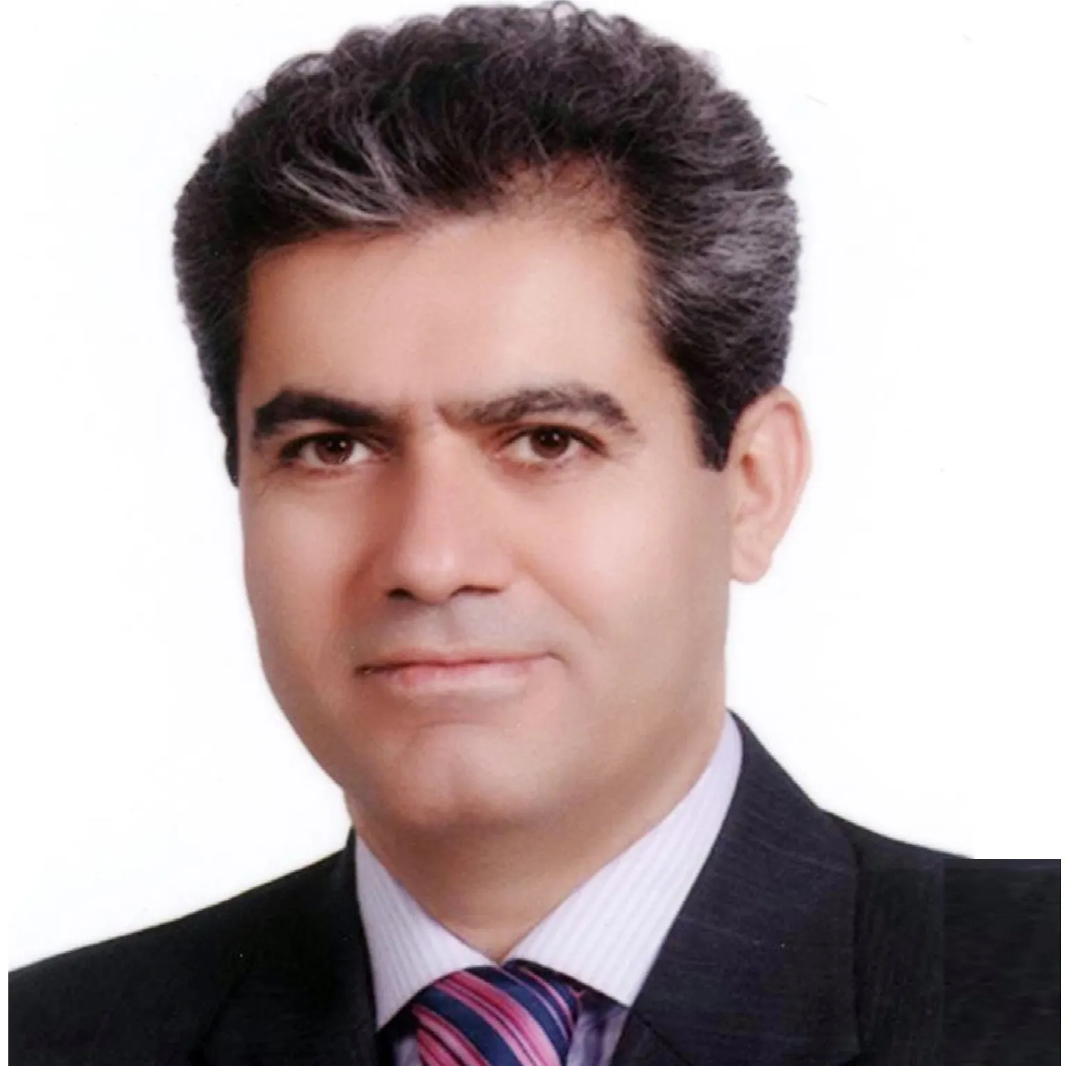 دکتر محمدحسن هوشمندی