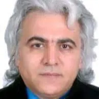 دکتر نادر مبرزی
