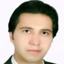 دکتر مجتبی سلطانیان زاده