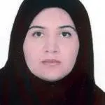 دکتر رزیتا میرمحمد میبدی