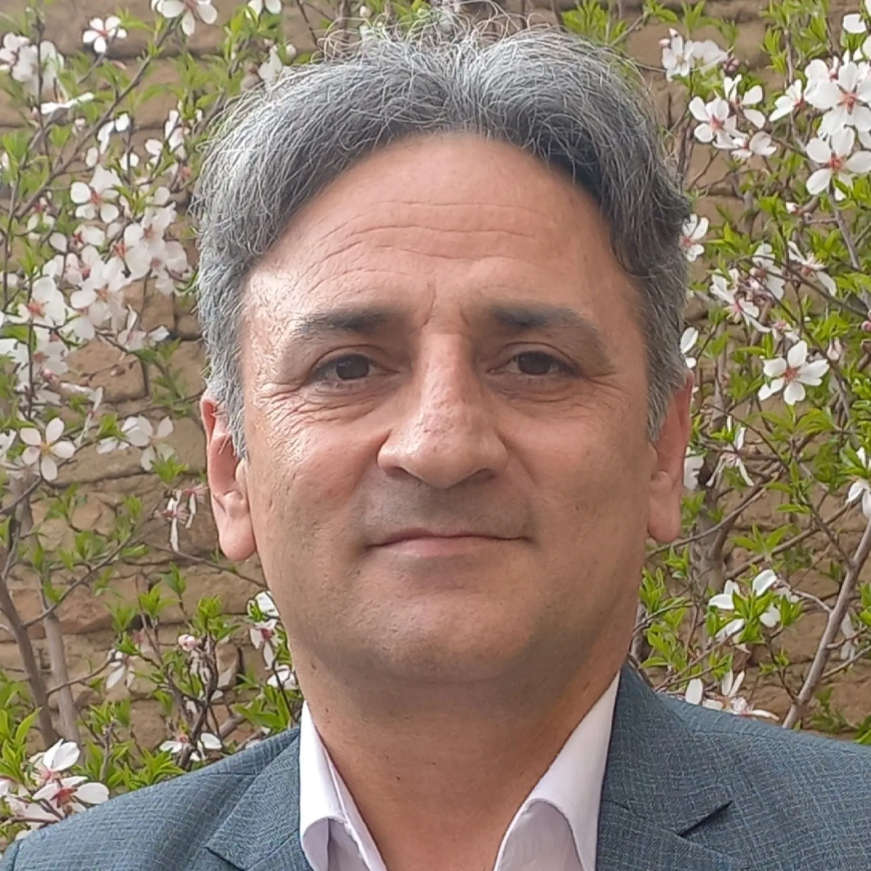 دکتر محمود نبیئی
