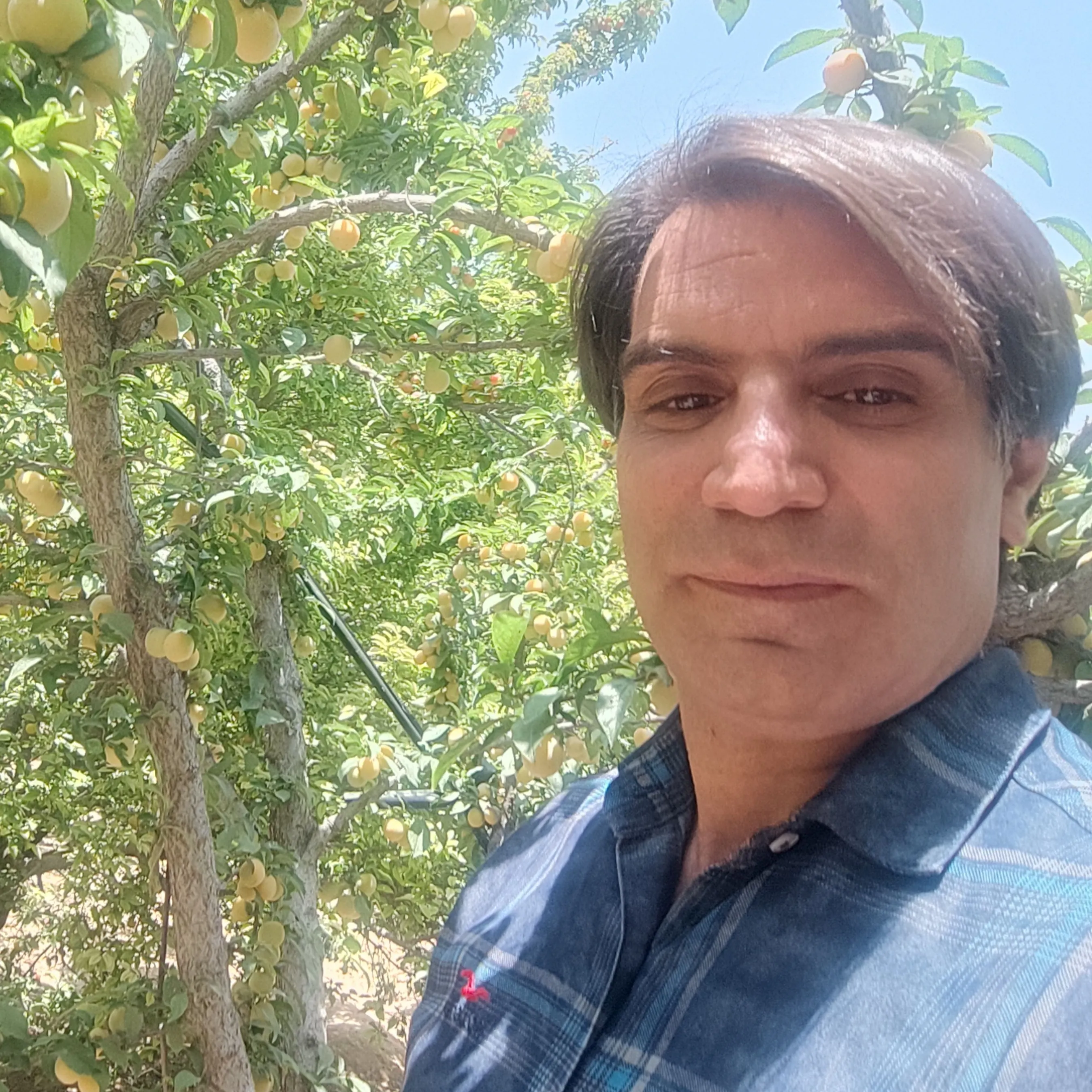 دکتر منصور بندی دستجردی