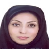 دکتر راشین رجبی