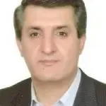 دکتر مهدی فروزان فر