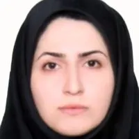 نگار کریمی بیرگانی