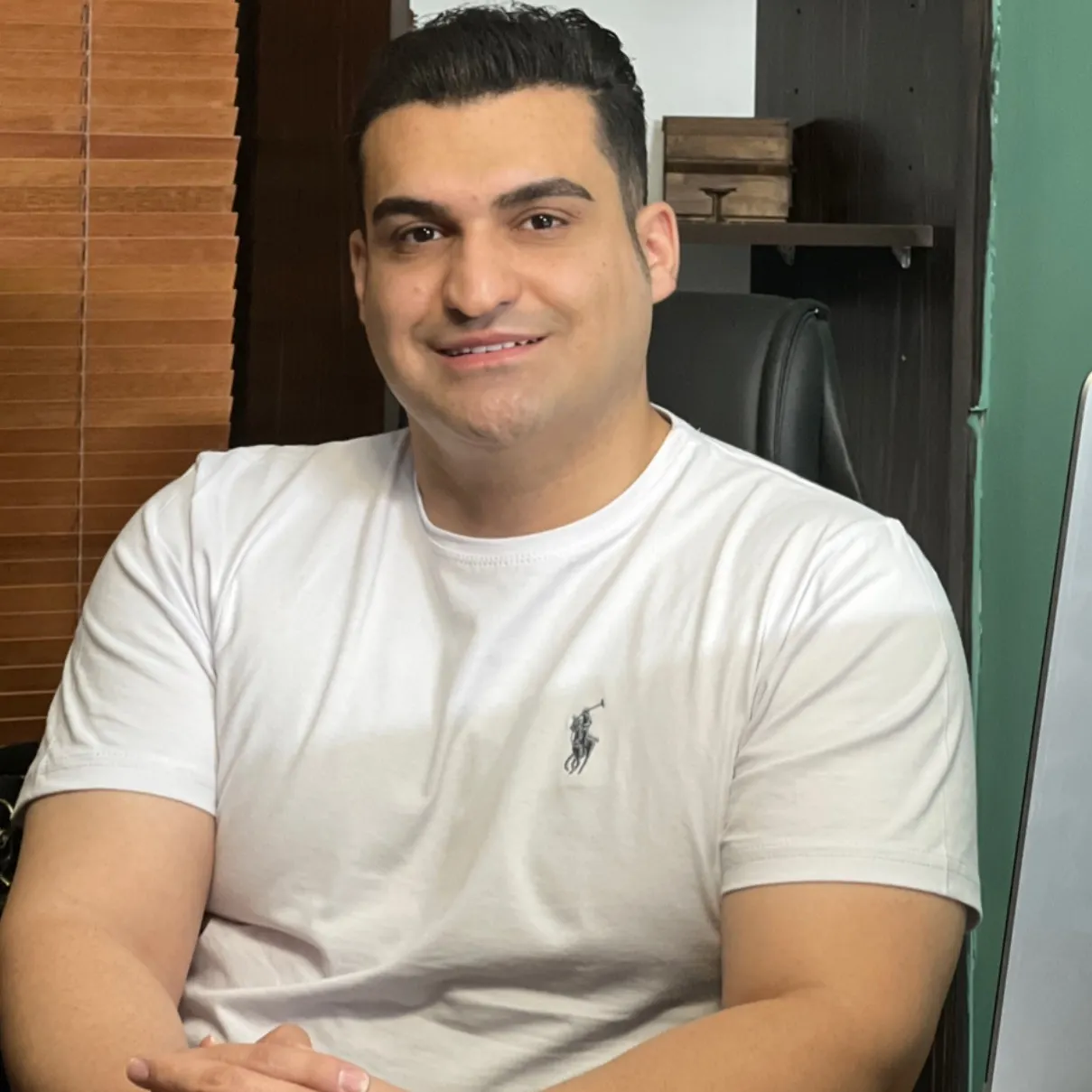 هادی بیگی