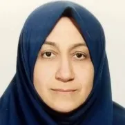 دکتر مهرزاد نقش تبریزی