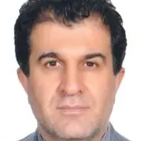 دکتر سید نجات حسینی