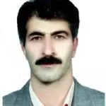 دکتر بابک بیگ پور