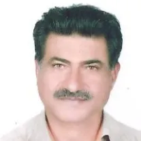 حسن پرویزی