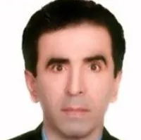 دکتر مجتبی محمودی