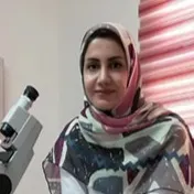 مینا مدرسی