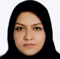 وینا عجمی قلعه رشیدی