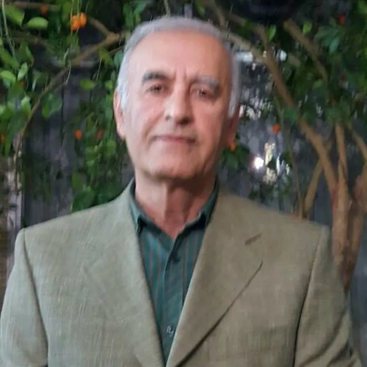 دکتر محمدحسین مهرزادی