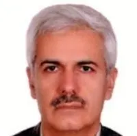 حسین میرزایی