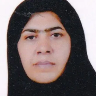 هما محمدی زاده