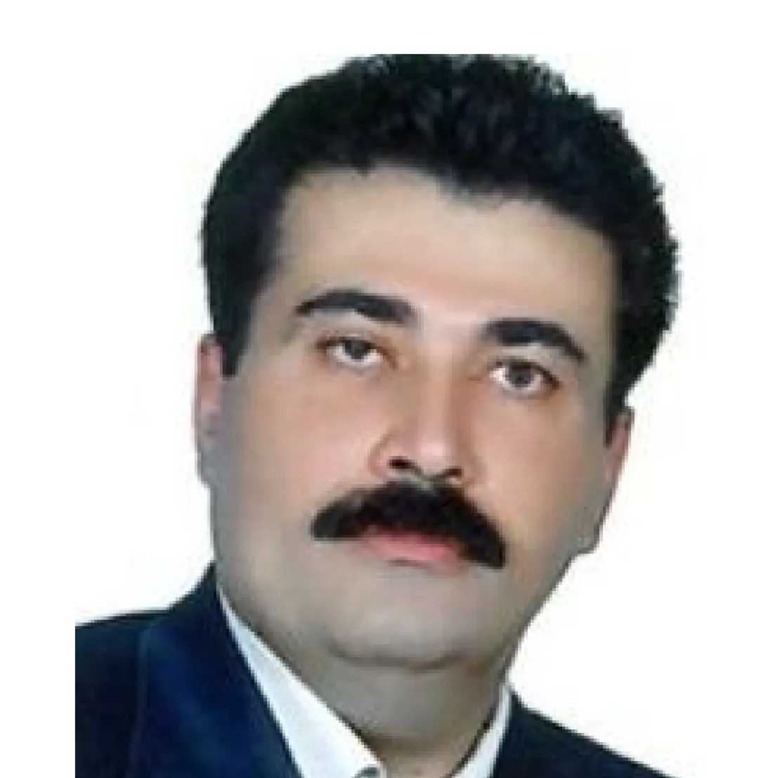 دکتر سیامند انوری ساوجبلاغی