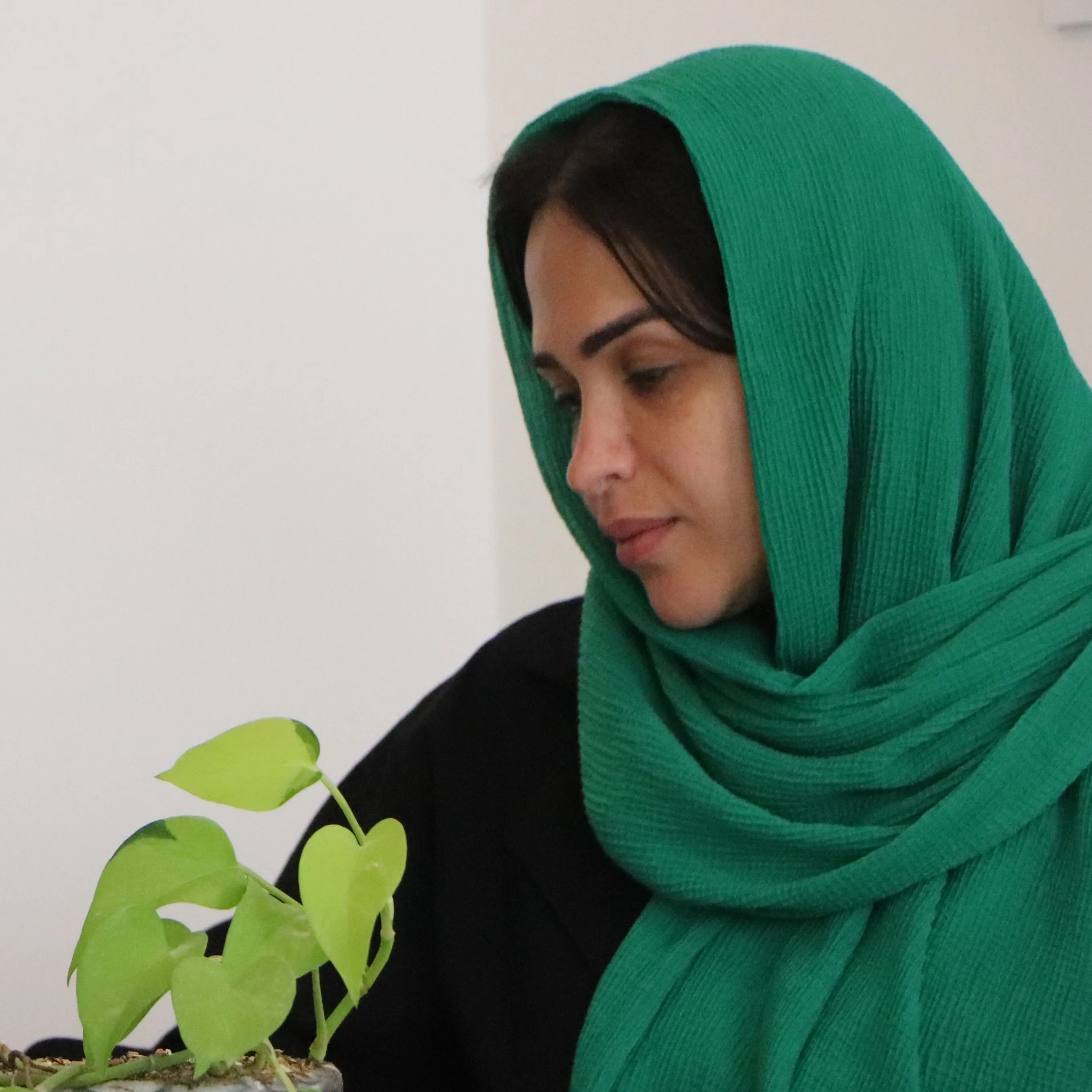 مهسا فکوریوسفیان