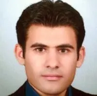 دکتر سیدحسام دانشگر