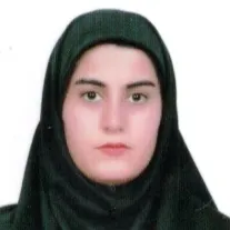 مرضیه دشتکی پور