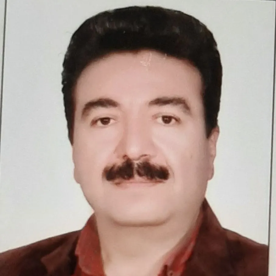 وفا محمدزاده