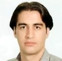 دکتر عنایت اله حمزه ای