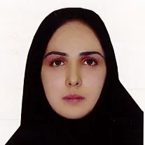 بهار بن رضوی