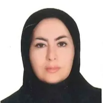 الهه بیگ زاده شهرکی