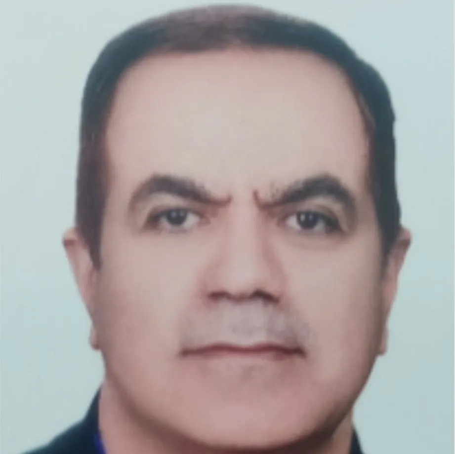 محمدحسین مهدی