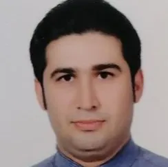 دکتر سید حسن عمادی جمالی