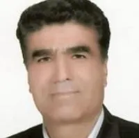 دکتر هادی طباطبائی