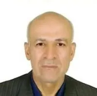 دکتر محمدحسین محمودی