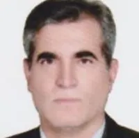 دکتر عبدالامیر ستایش فر