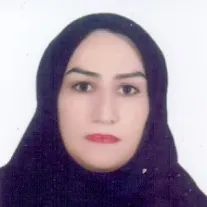 فهیمه مومن