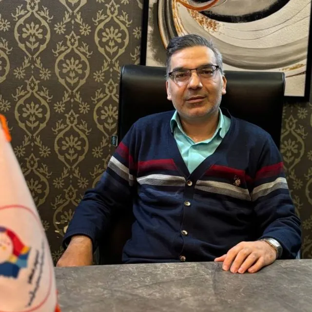 هادی محمدی