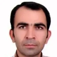 دکتر محمد‍‍ رضایی زارعی
