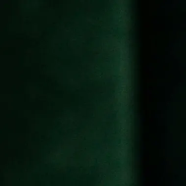 دکتر مانیی مهربانیی (تست)