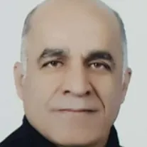 ابوالفضل شیرازی زمانی
