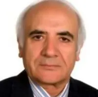 دکتر احمد ربیعی