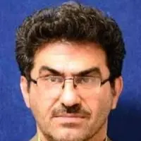 دکتر سید ناصر عمادی چاشمی