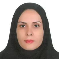 سلماز فردافشاری