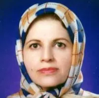 دکتر نسرین دخت صفی الدین اردبیلی