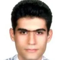 دکتر حسام السادات هاشمی