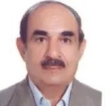 دکتر محمود مفیدی