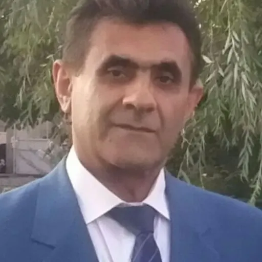 دکتر محمود فرورشی