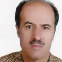 دکتر هادی محسن پور