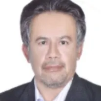 مهدی وادی
